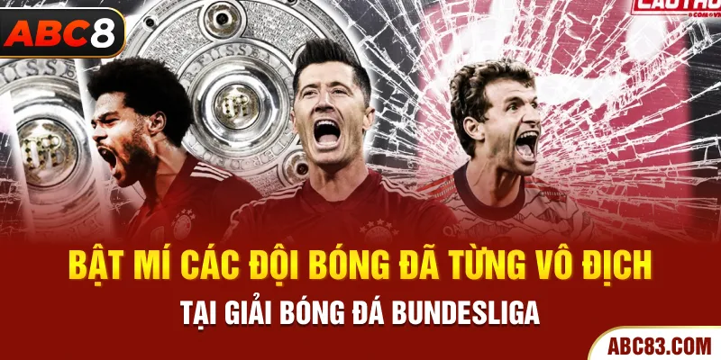 Bật mí các đội bóng đã từng vô địch tại giải bóng đá bundesliga